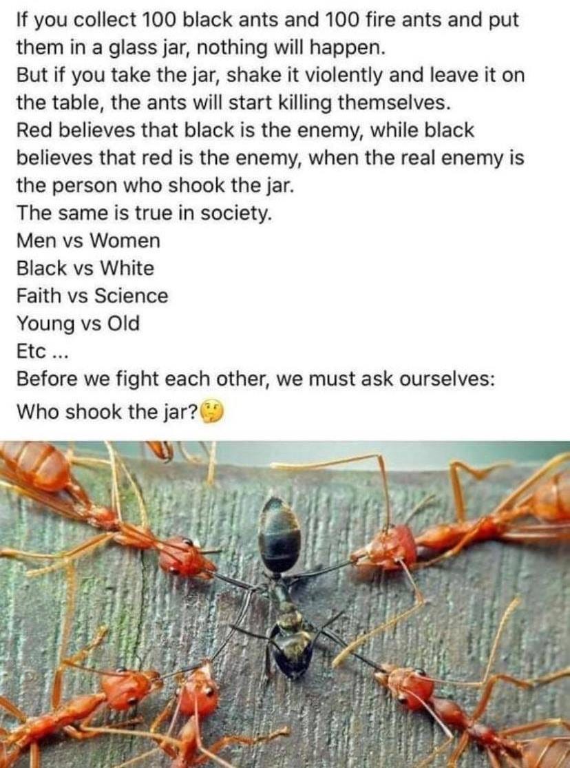 DISPATCH 14: Speak Your Truth 