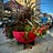 Random Acts of Urbanism by Brigitte Pellerin