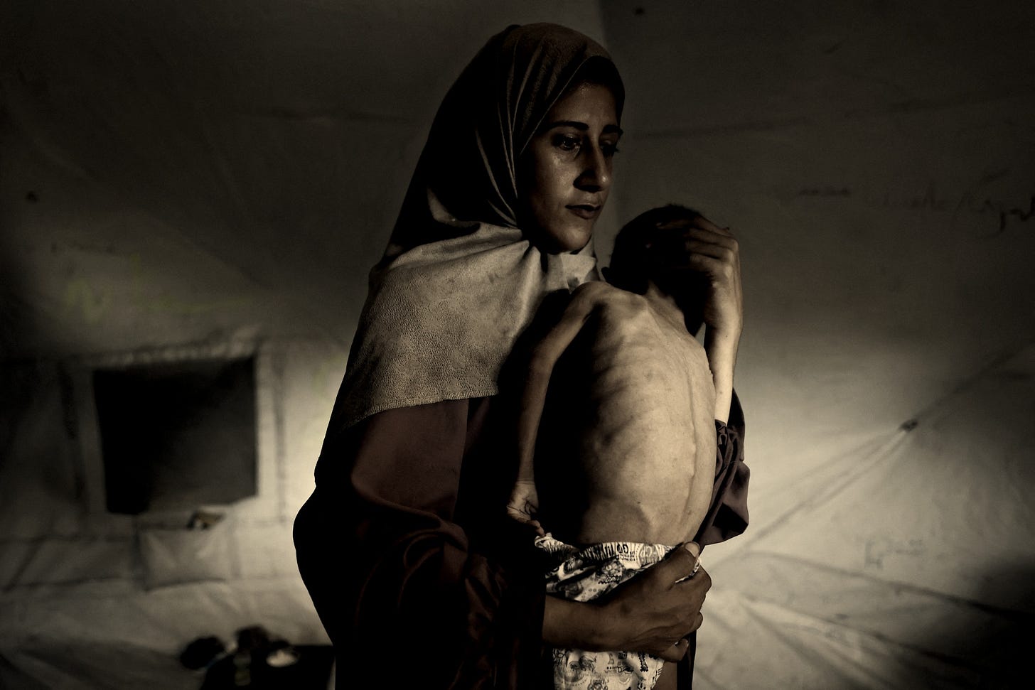 US Must Recognize Palestine Amid Gaza Starvation Horror, Says Jill ... US Must Recognize Palestine Amid Gaza Starvation Horror, Says Jill ...