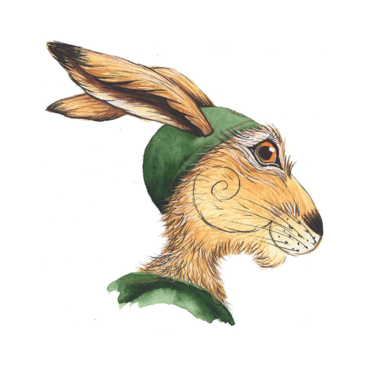 Him, Her and the Hare