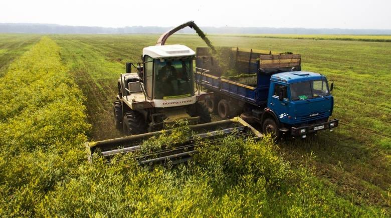 A tractor loading a truck in a field

AI-generated content may be incorrect.
