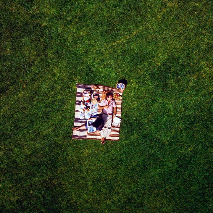 Powers of Ten production art, picnic Print - Eames Office