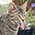 Cat Hair Magnet's avatar