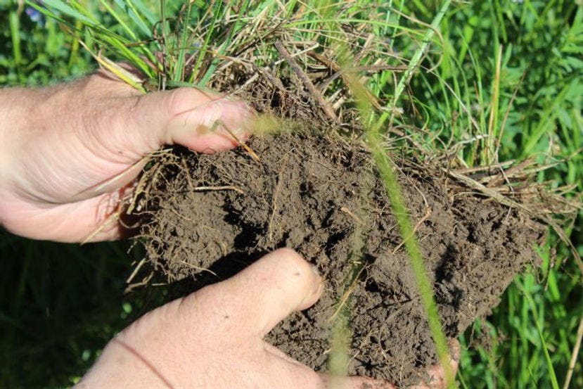 Soil at Menoken Farm, North Dakota