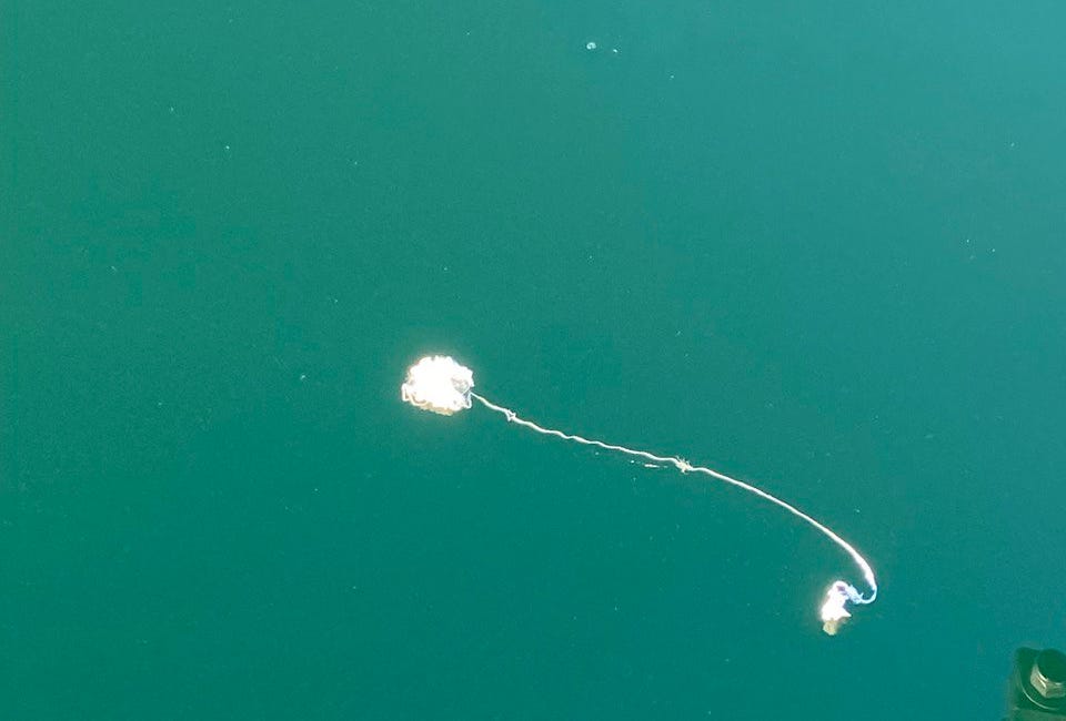 Ballooning webs or synthetic fibers?
