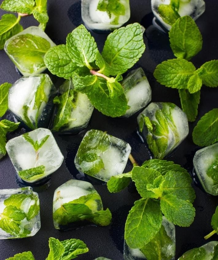 Mint ice cubes Mint ice cubes