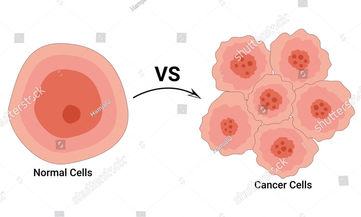 A normal cell and a cancer cell in comparison