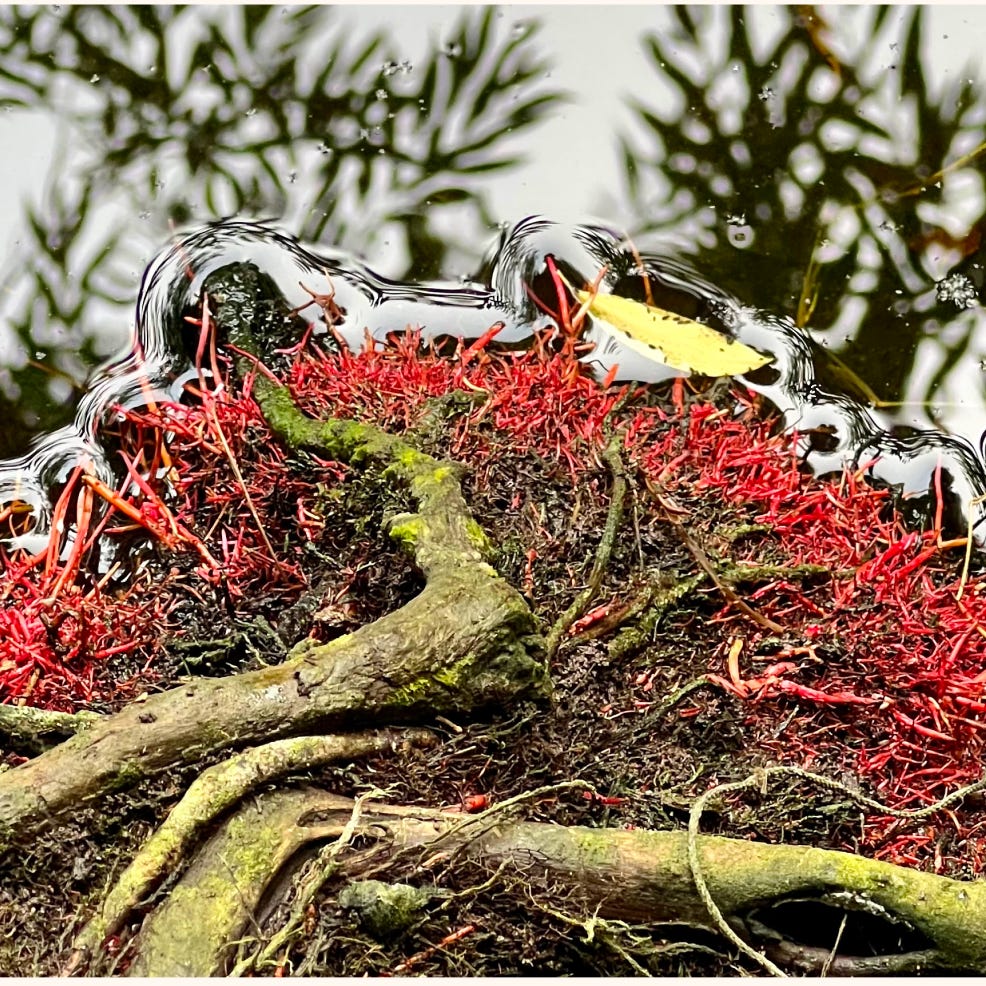 Letters from the threshold 