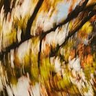 October Edit: Eating Soup and Attempting Balance