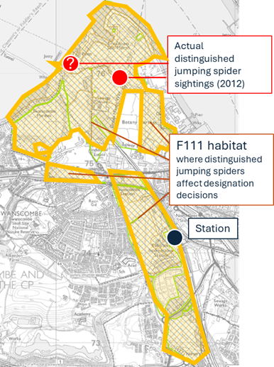 A map of a city

AI-generated content may be incorrect.