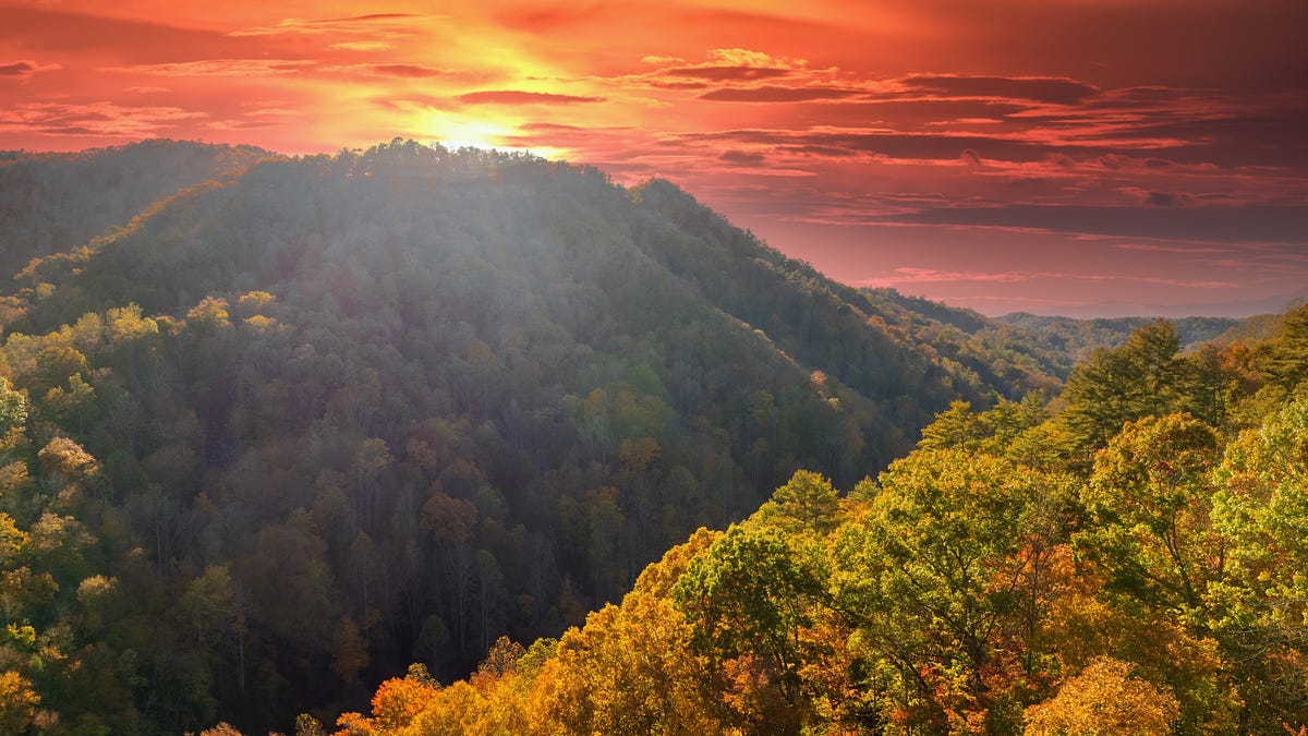 Appalachia: Murder always happens for a reason