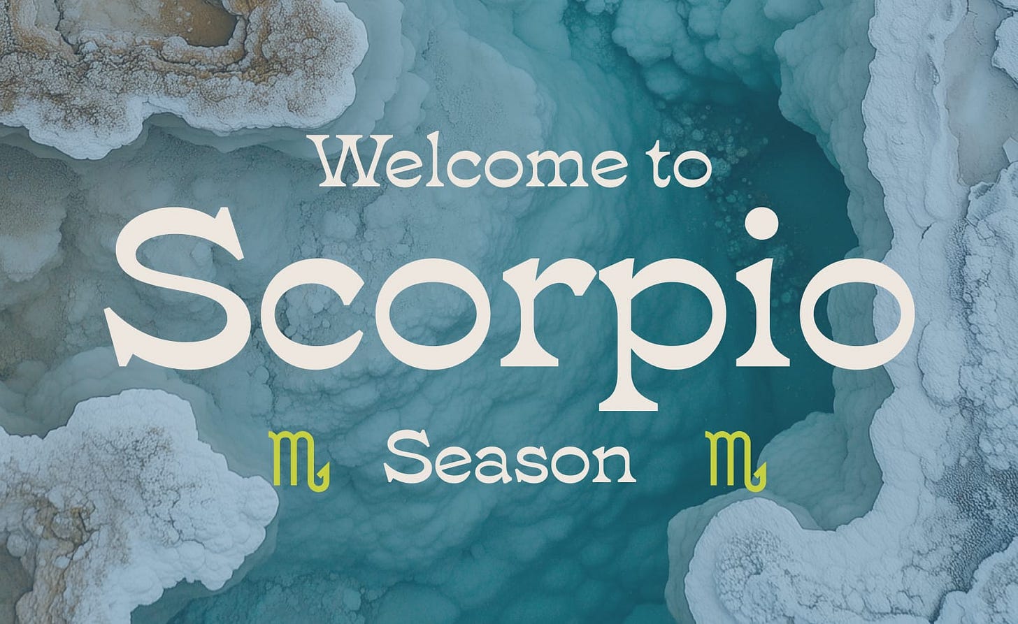 Welcome to 🦂 Scorpio Season 🦂 and a ♎ Libra New Moon 🌑