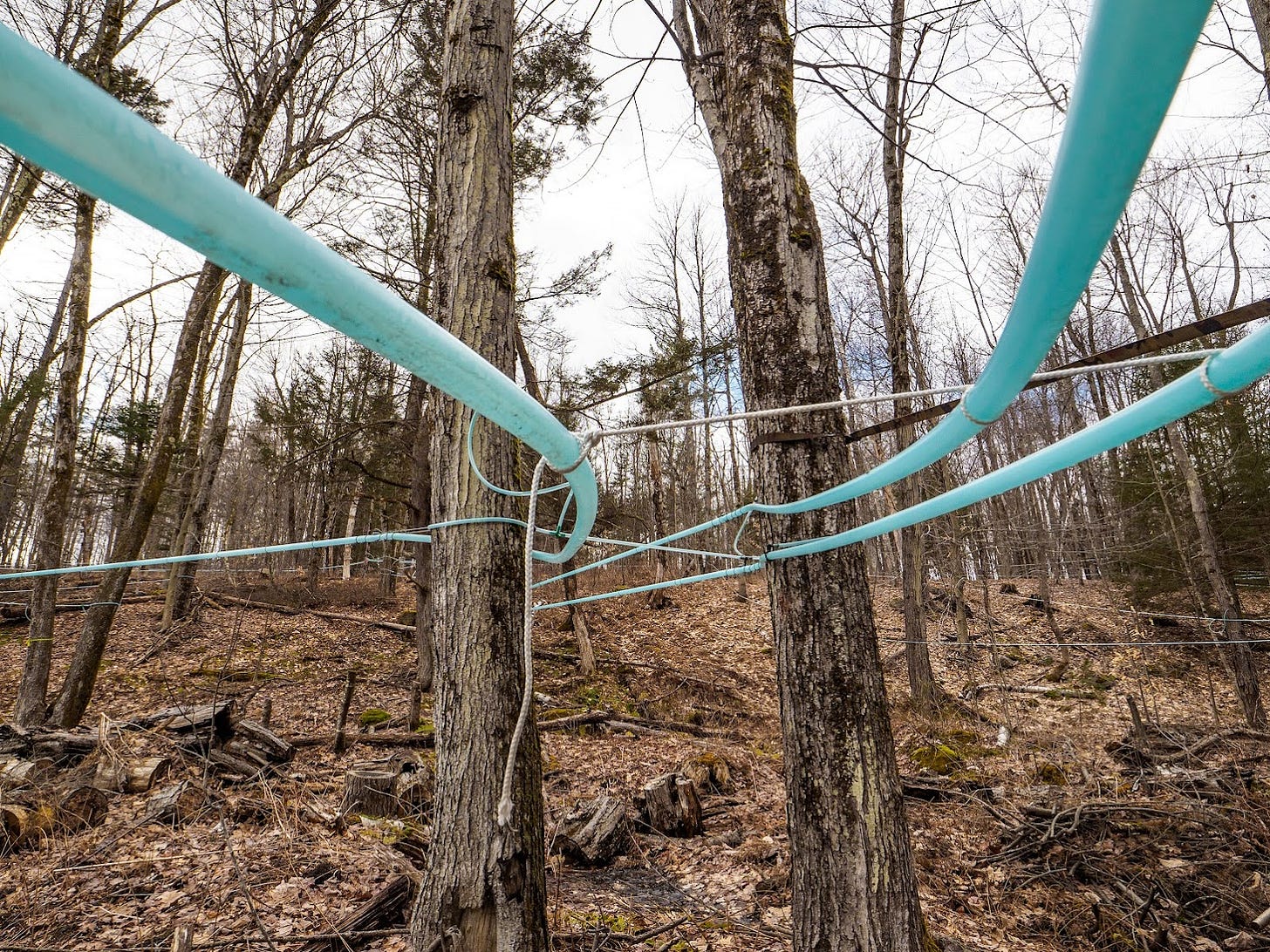 sap tubing