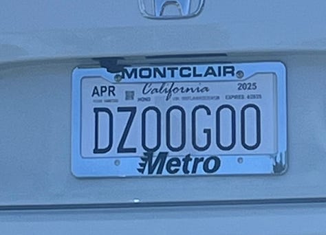 License plates reading DOGGRL, EX TESLA, SXYNURS, 2HENTAI, FEMD❤️M, and DZOOGOO