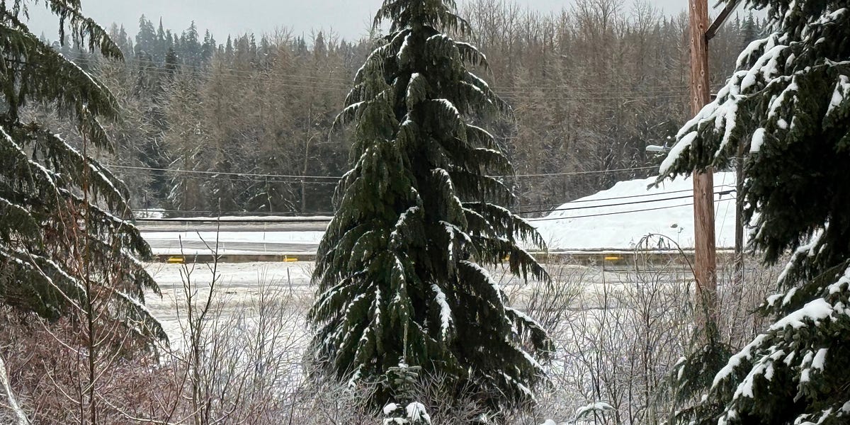 The Tren de Aragua trail of terror
