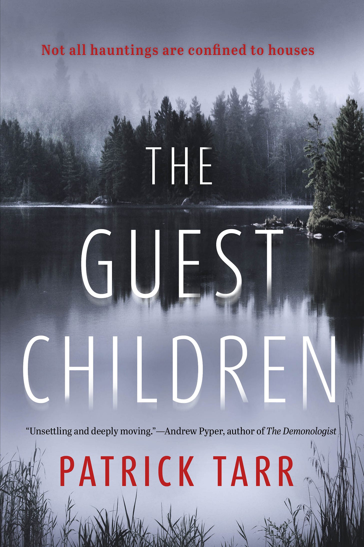 Not all hauntings are confined to houses - The Guest Children by Patrick Tarr Not all hauntings are confined to houses - The Guest Children by Patrick Tarr
