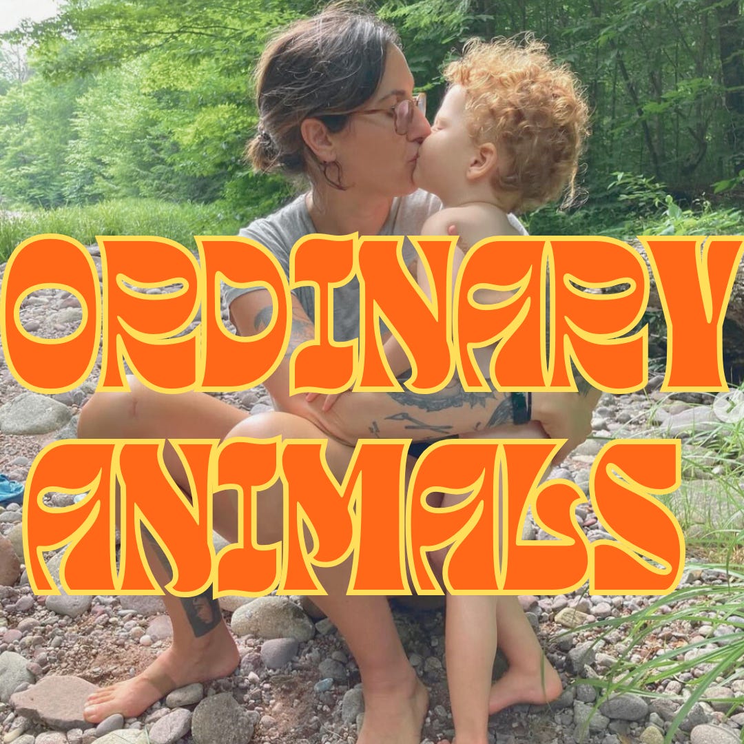 Ordinary Animals