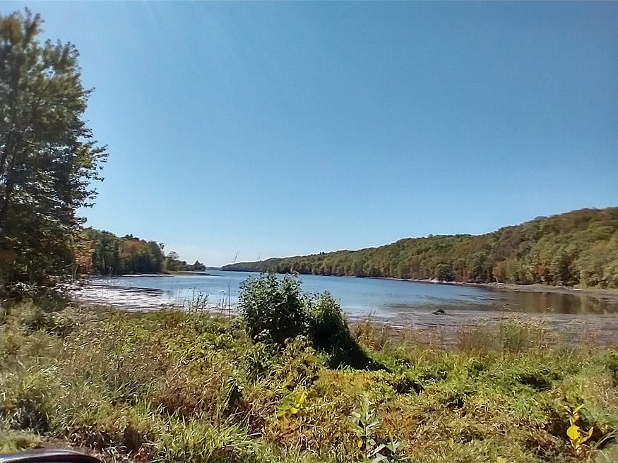Blue skies, treed ridges on either side of a lake reaching off into the distance. Grass in the foreground.