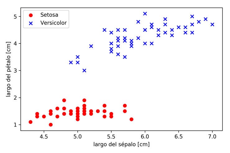Grafico setosas y versicolor