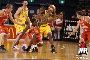 Credit: Joel Armstrong | Wollongong Hawks Credit: Joel Armstrong | Wollongong Hawks