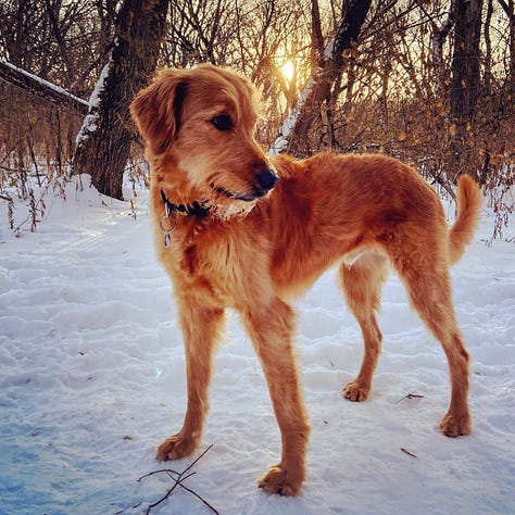 Images of Jordy through the last decade