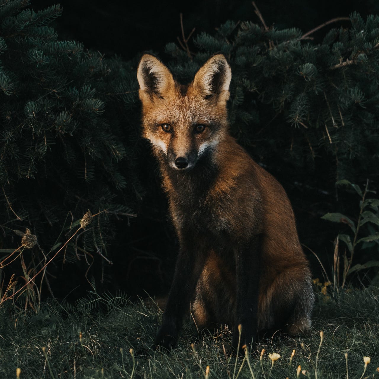 ATELIER DI IMMAGINAZIONE