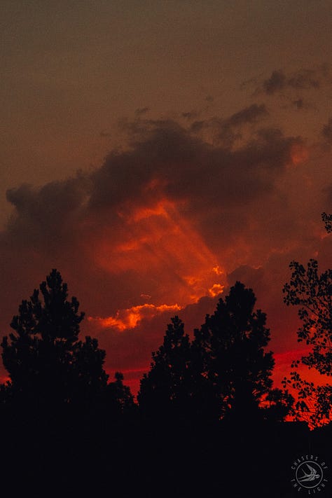 Fuji photographs of life in Montana by Tyler Knott Gregson