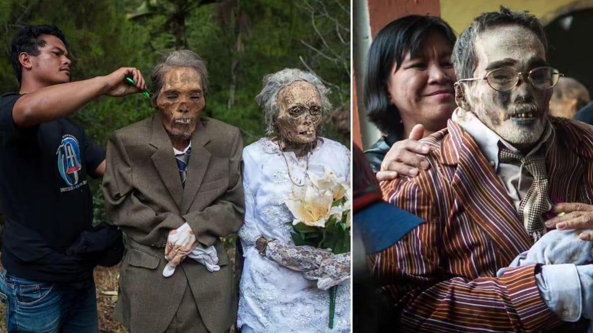 Family Reunions, Planet Rings and Brain Halves - Your Strange News Recap