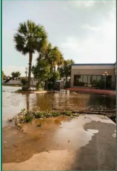 USF Hosts Hands-On Workshop to Help Organizations Strengthen Disaster Preparedness