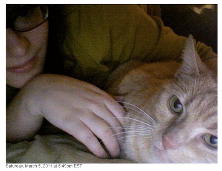webcam photos of zoë in glasses with a beige tabby cat