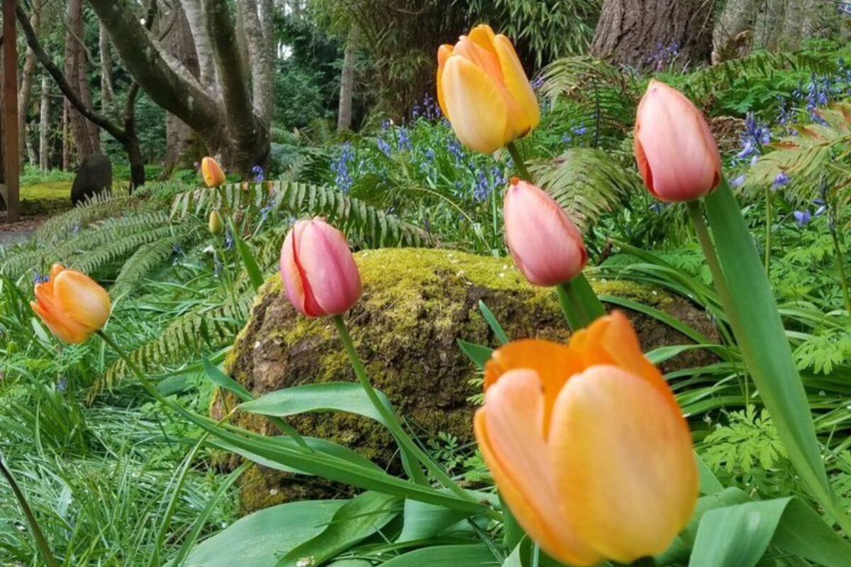 Spring Awakening Retreat With Sarah Hyde in Whidbey Island