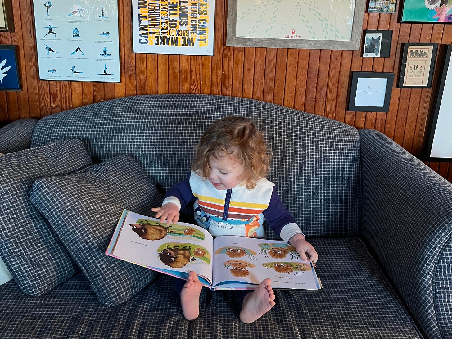 A two-year-old with curly blonde hair reads a picture book on a little blue sofa. A two-year-old with curly blonde hair reads a picture book on a little blue sofa.