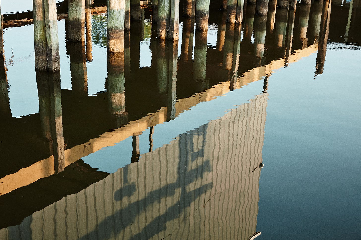 Canon 5DsR with film look applied