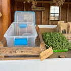 Everything I sell at my farm stand and what I charge