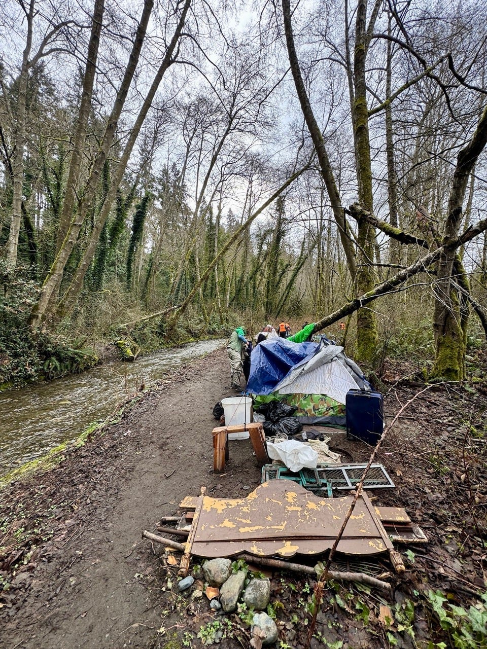 A group of people camping in the woods

Description automatically generated