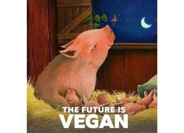 The future is vegan—driven by compassion, sustainability, and the undeniable truth that we can thrive without harming animals. Together, we’re building a kinder, healthier world for all beings. 🌱💚 The future is vegan—driven by compassion, sustainability, and the undeniable truth that we can thrive without harming animals. Together, we’re building a kinder, healthier world for all beings. 🌱💚