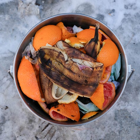 Triptych: Three buckets of compost filled with orange and grapefruit skins