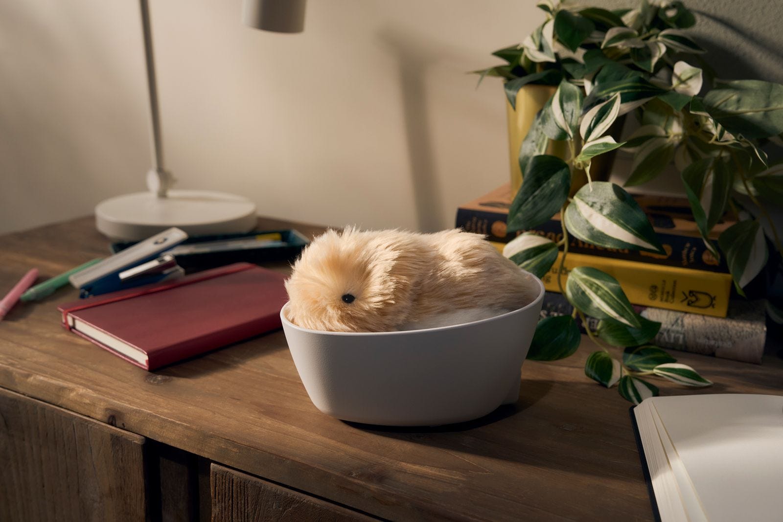 El robot peludo con IA de Casio se ganó un lugar en mi corazón | WIRED