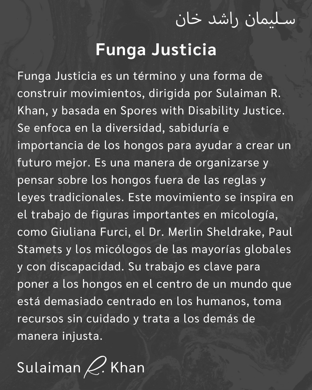 White text of the definition of Funga Justice in Spanish. White text of the definition of Funga Justice in Spanish.