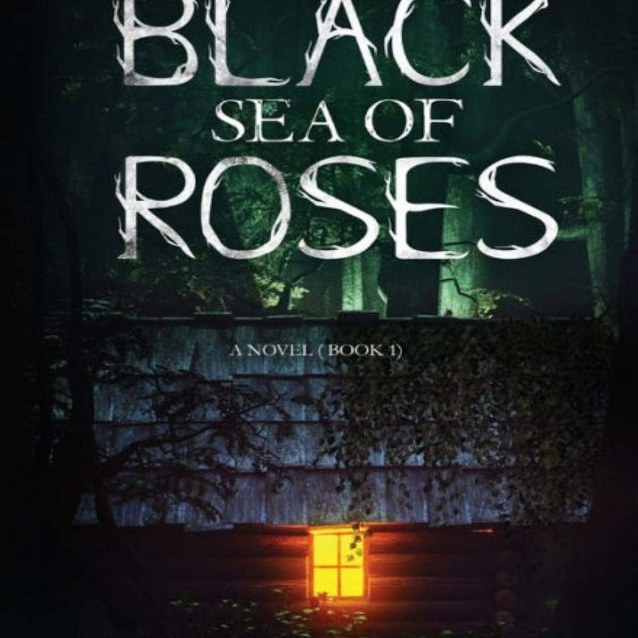 Vanessa M. Chattman's Substack - Author