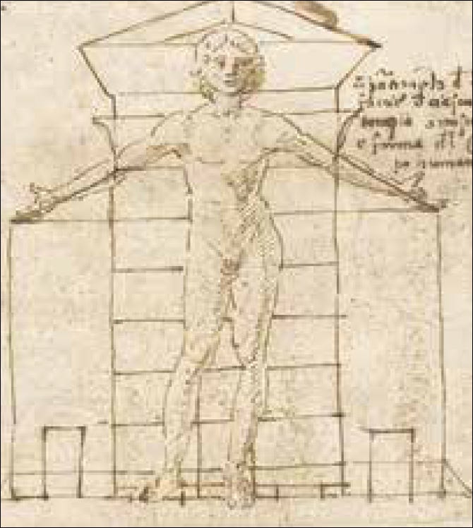 Francesco vitruvian man 2