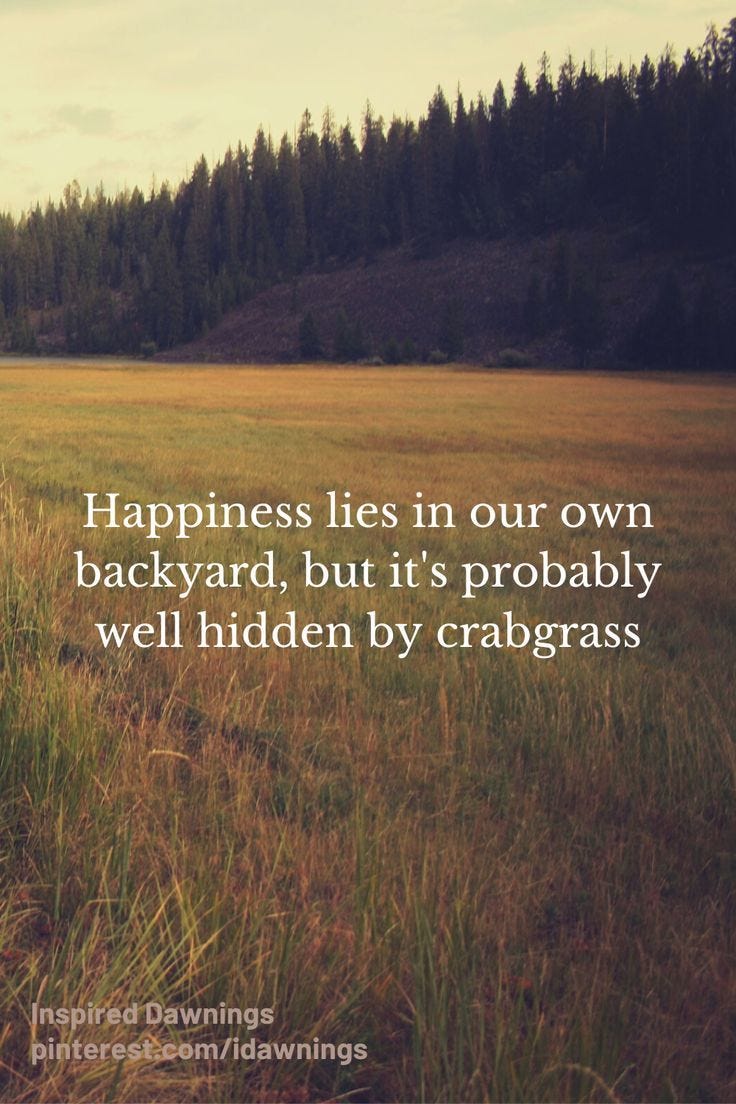 Happiness lies in our own backyard | Funny Inspirational Quote