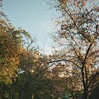 On homecoming | Essay Snacks 003