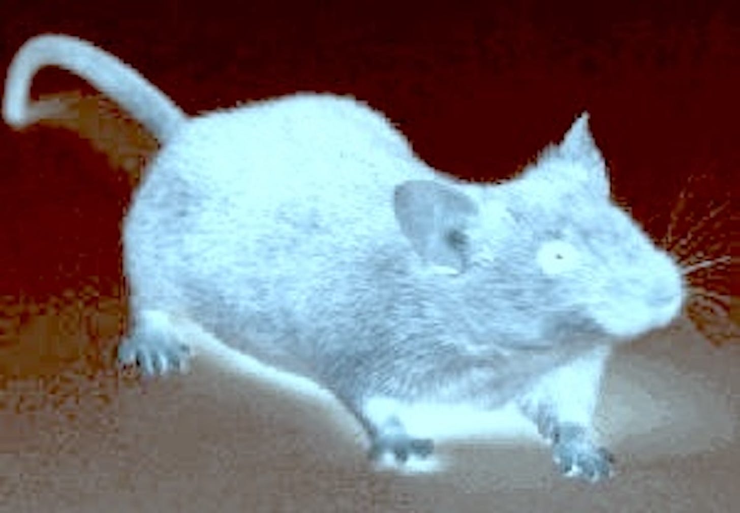 Pasted Graphic.png
