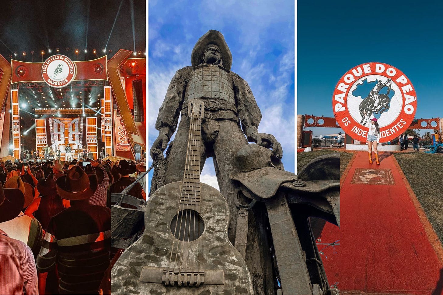 Look country feminino