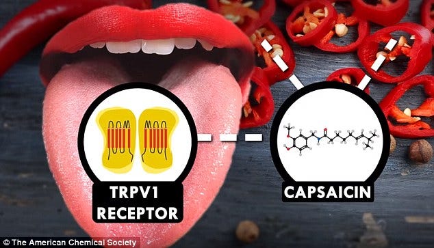 American Chemical Society reveal why you shouldn't drink water after spicy food | Daily Mail Online American Chemical Society reveal why you shouldn't drink water after spicy food | Daily Mail Online