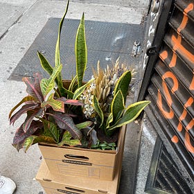 5 Ways to Spruce Up Your Space This Spring 