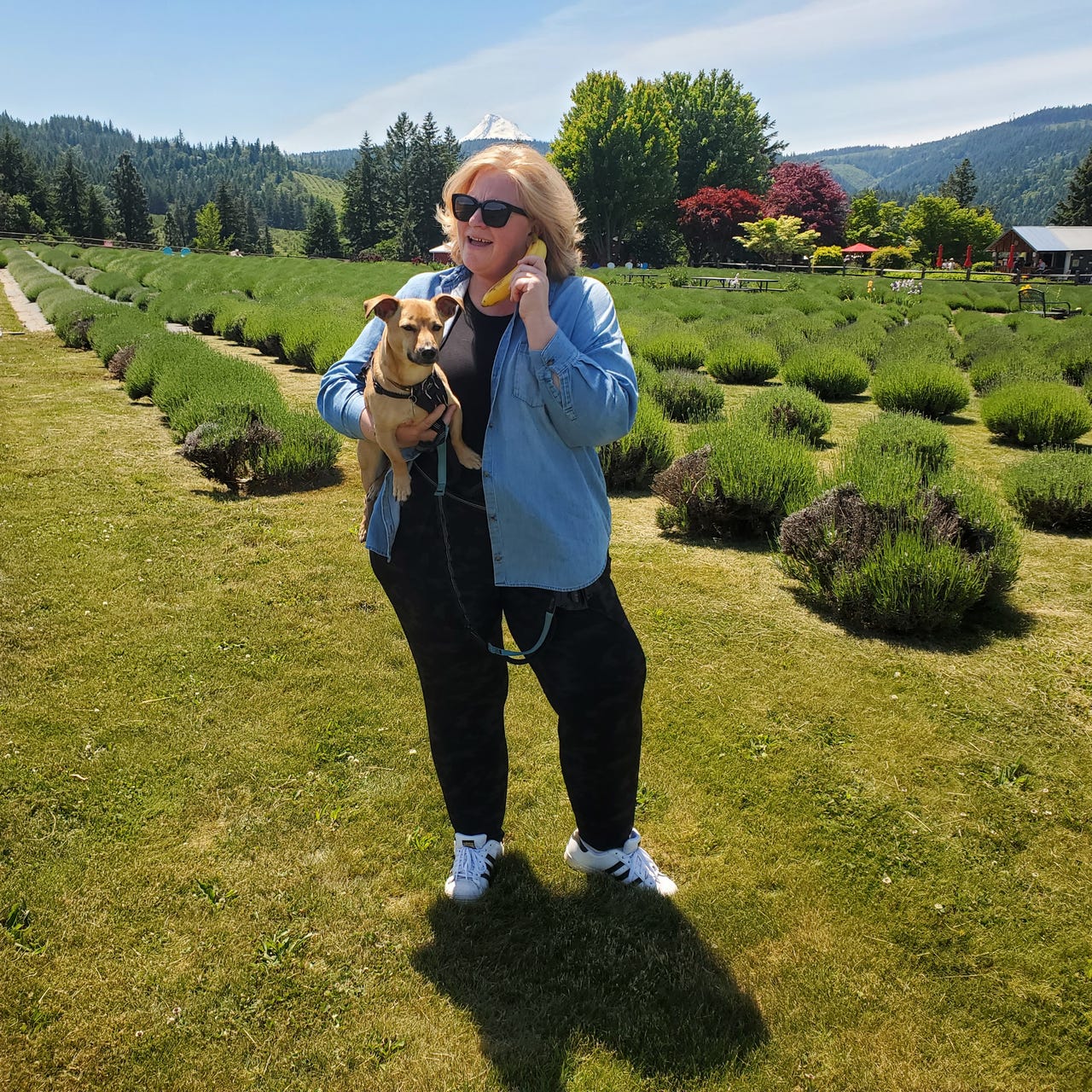 I Travel With Bananas