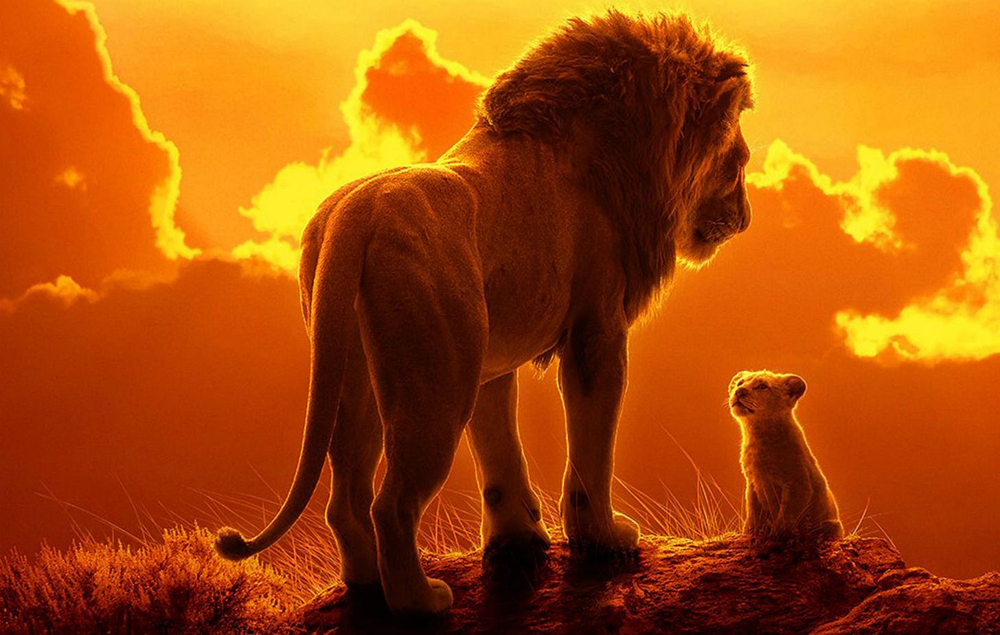 Disney's Live-Action Lion King (2019) Review: Repeating History ... Disney's Live-Action Lion King (2019) Review: Repeating History ...