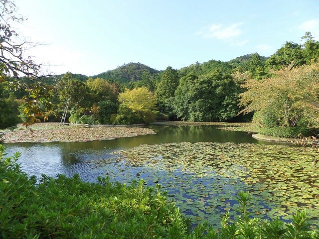 Ryoanji Temple Garden 7 Ryoanji Temple Garden 7